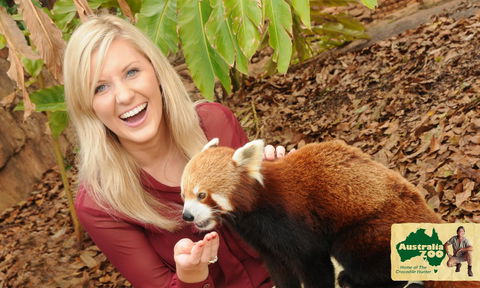 Australia Zoo - Accommodation Georgetown 7