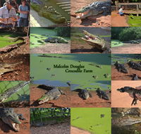 The Malcolm Douglas Crocodile Park - Accommodation Georgetown