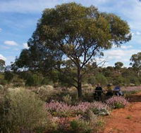 Karlkurla Bushland Park - Accommodation Georgetown
