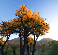 Cape Le Grand National Park - Accommodation Georgetown