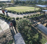 Kojonup Rose Maze - Accommodation Georgetown