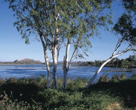 Celebrity Tree Park - Accommodation Georgetown 0