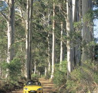 Mount Shadforth Scenic Drive - Accommodation Georgetown