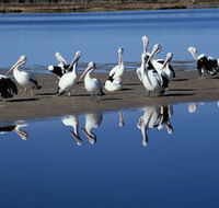 Peel Region Canoe Trails - Accommodation Georgetown