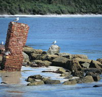 Whalers Beach - Accommodation Georgetown