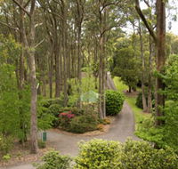 Mount Lofty Botanic Garden - Accommodation Georgetown