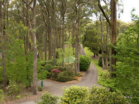 Mount Lofty Botanic Garden - Accommodation Georgetown 0