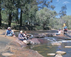 John Forrest National Park - Accommodation Georgetown 0
