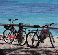Parker Point Marine Snorkel Trail - Accommodation Georgetown