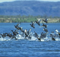 Ord River - Accommodation Georgetown