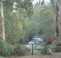 Cascades - Accommodation Georgetown