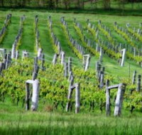 Sienna Estate Winery - Accommodation Georgetown