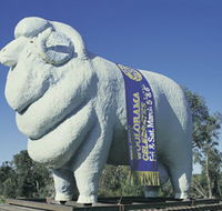Giant Ram Tourist Park - Accommodation Georgetown