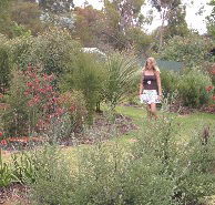 The Mythic Mazes - Accommodation Georgetown