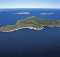 Woody Island Nature Reserve - Accommodation Georgetown