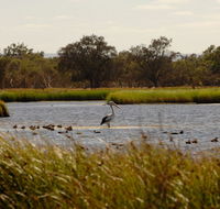 Anytime Adventures in Mandurah  the Peel Region - Accommodation Georgetown