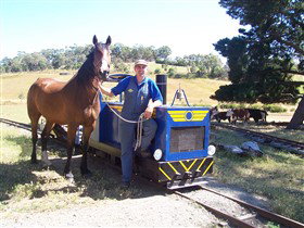 Blakiston SA Accommodation Georgetown