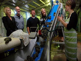  Accommodation Georgetown