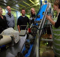 Eyre Peninsula's Seafood Trail - Accommodation Georgetown