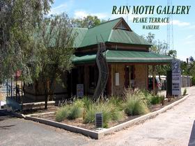 Rain Moth Gallery - Accommodation Georgetown 0