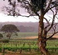Yangarra Estate Vineyard - Accommodation Georgetown