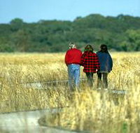 Onkaparinga River Recreation Park - Accommodation Georgetown