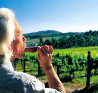 Ashton Hills Vineyard - Accommodation Georgetown