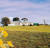 Lucindale Country Club - Accommodation Georgetown