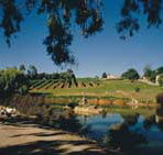 Mount Hurtle Winery home of Geoff Merrill Wines - Accommodation Georgetown