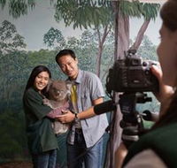 Cleland Wildlife Park - Accommodation Georgetown