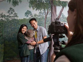 Cleland Wildlife Park - Accommodation Georgetown 0