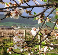 Cradle of Hills McLaren Vale Winery - Accommodation Georgetown