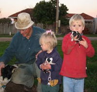 Orrie Cowie Merino and Poll Merino Stud - Accommodation Georgetown
