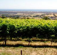 Braydun Hill Vineyard - Accommodation Georgetown