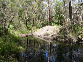 Para Wirra Recreation Park - Accommodation Georgetown 0