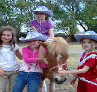 Amberainbow Pony Rides - Accommodation Georgetown