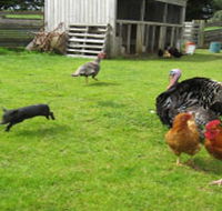 Echo Farm - Accommodation Georgetown
