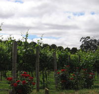 Manyara Vineyard - Accommodation Georgetown
