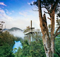 Tahune Adventures Tasmania - Accommodation Georgetown