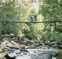 Arve Forest Drive - Accommodation Georgetown