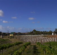 Deep Creek Wines and Alpacas - Accommodation Georgetown