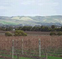 Mclaren Vale Premium Wines - Accommodation Georgetown
