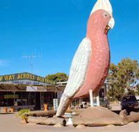 The Big Galah - Accommodation Georgetown