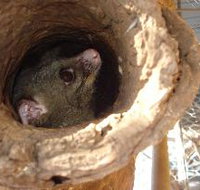 Mulga Sanctuary and Wildlife Park - Accommodation Georgetown