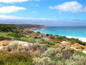 Marion Bay SA Accommodation Georgetown