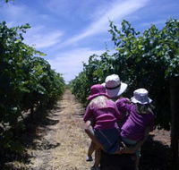 McLaren Vale Orchards - Accommodation Georgetown