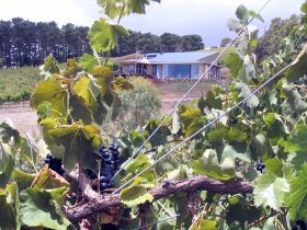 Zimmermann Wine - Accommodation Georgetown 0