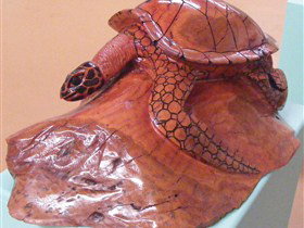 Ants Redgum Gallery - Accommodation Georgetown 0