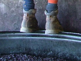 Fall From Grace - Accommodation Georgetown 0