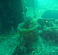 Wallaroo Scuba Club - Accommodation Georgetown